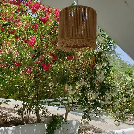 Aktipis Apartment Argassi