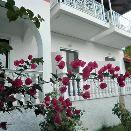 Aktipis Apartment *