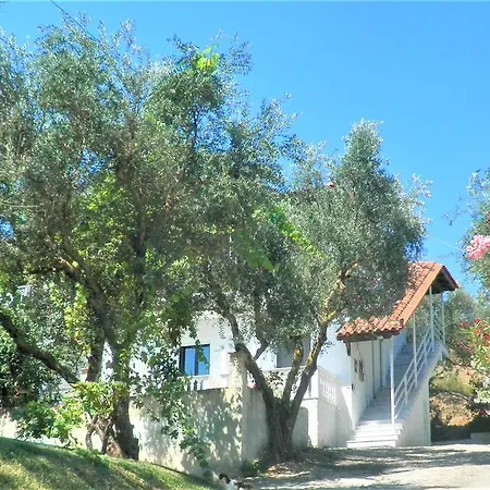 Aktipis Apartment