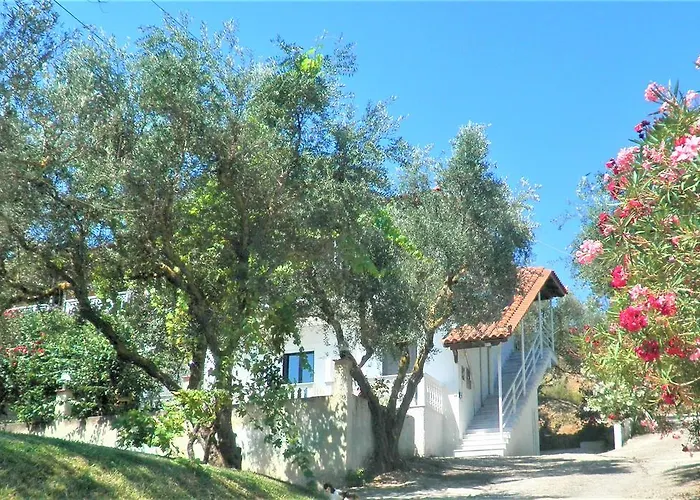 Aktipis Studios Apartment