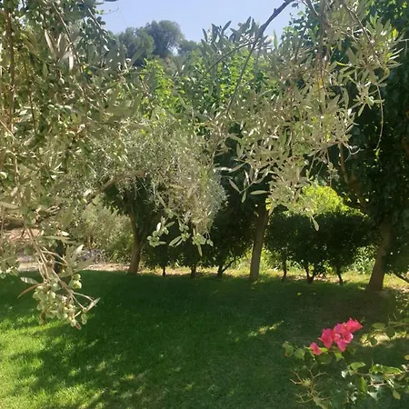 Aktipis Studios