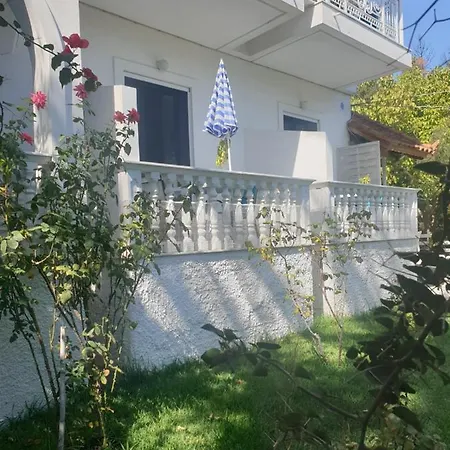 Aktipis Studios *