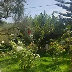 Aktipis Argassi