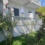 Aktipis *