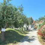 Aktipis * Argassi