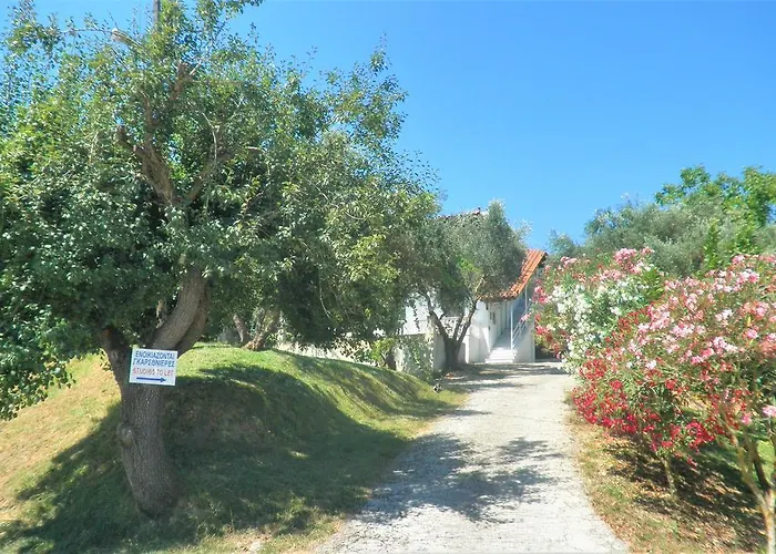 Aktipis * Αργάσι