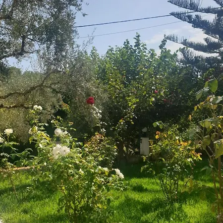 Aktipis Studios Argassi