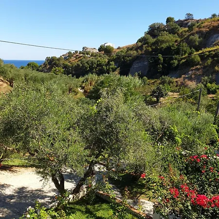 Aktipis Studios Argassi