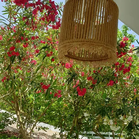 Aktipis Studios * Argassi