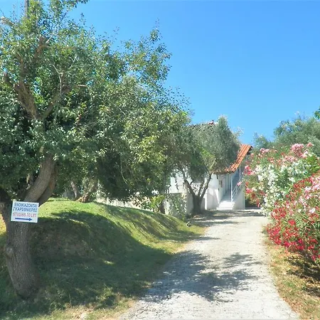 Aktipis Studios * Argassi